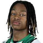 揚·博爾熱斯·桑謝斯