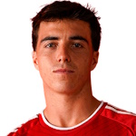 豪爾赫·阿拉斯圖伊