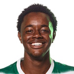 安德烈·貢薩爾維斯