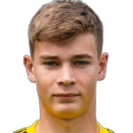 揚(yáng)·希特里