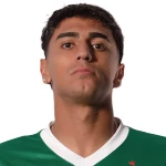 費(fèi)爾南多·托雷斯