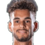 范登凱爾克霍夫